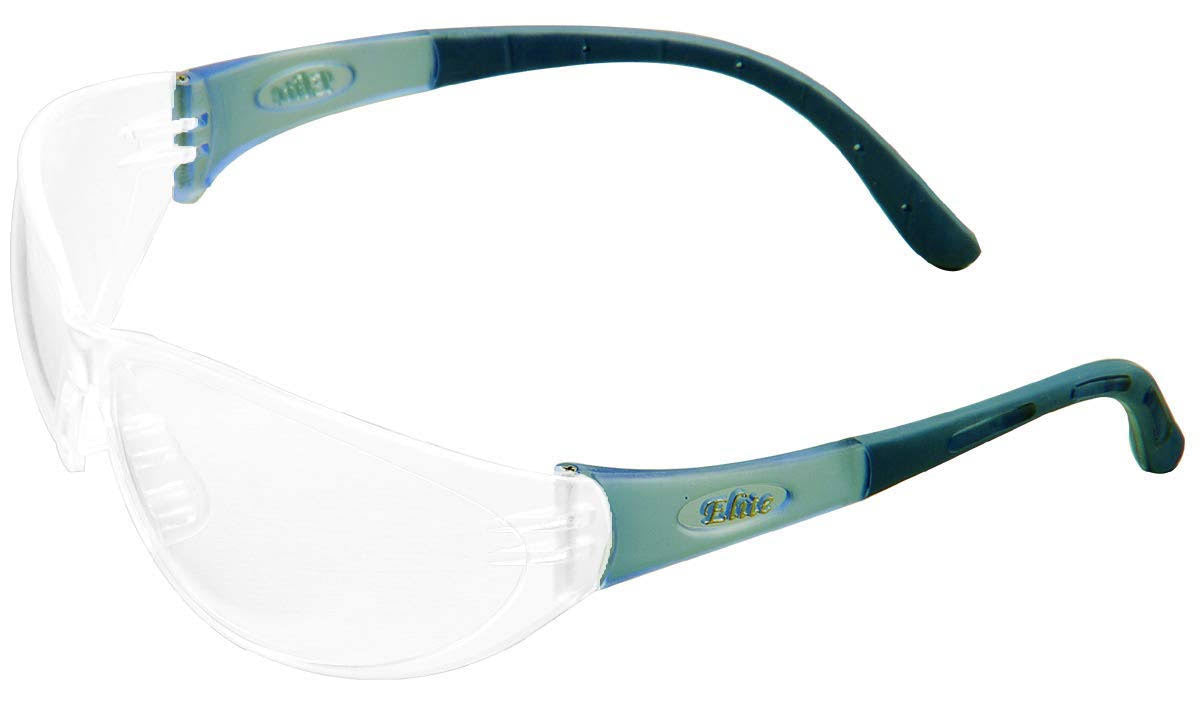 MSA Arctic Safety Glasses with Clear Anti-Fog Lens, Clear/Blue 10038845